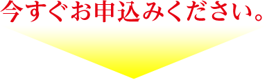 今すぐお申込みください。